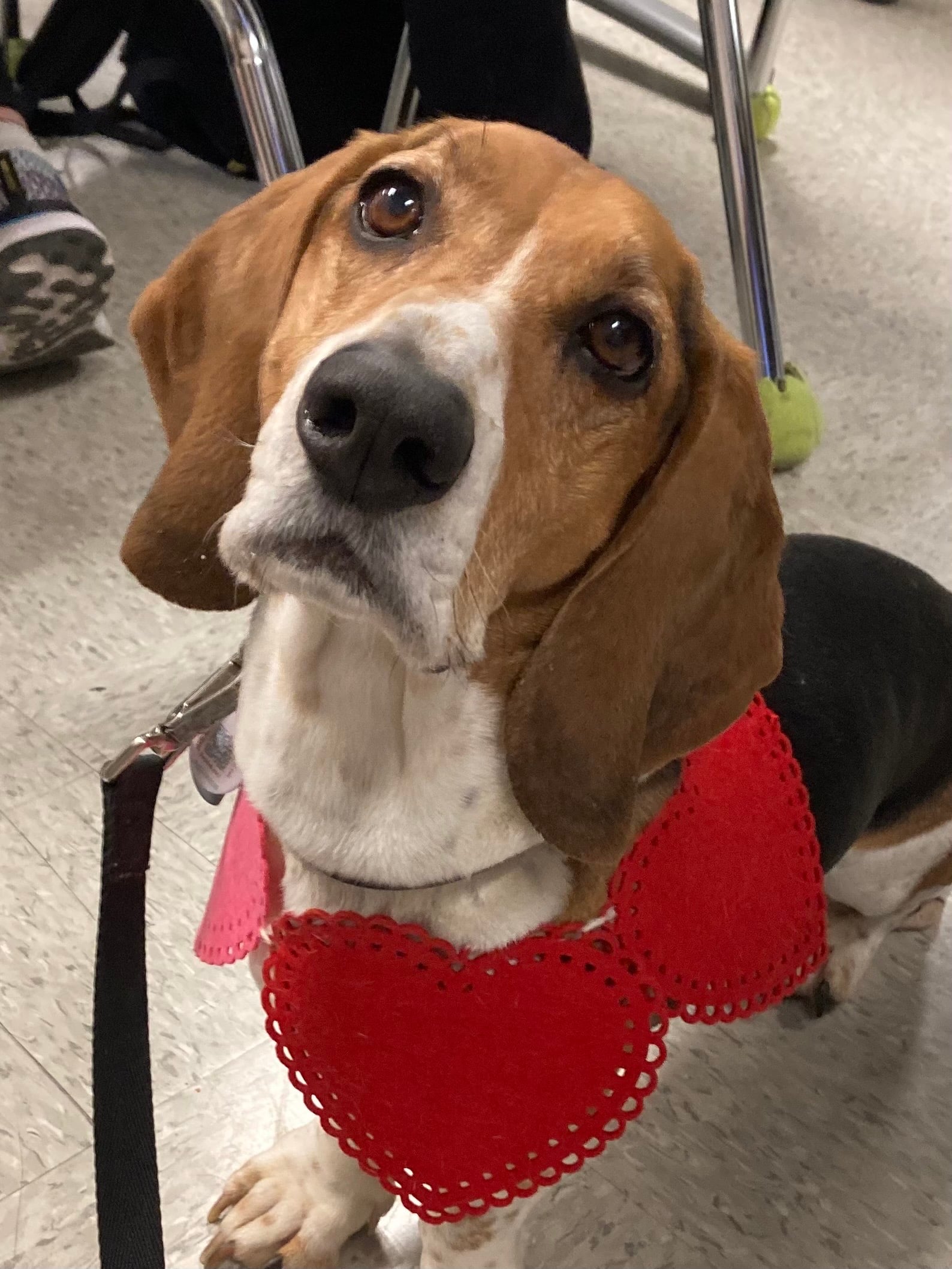 Radar